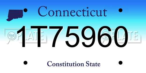 1T75960 Connecticut License Plate
