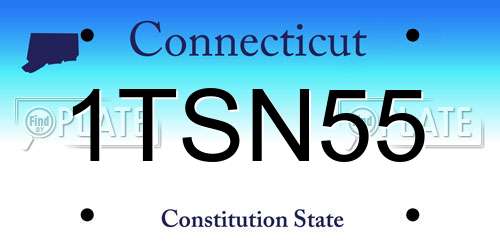 1TSN55 Connecticut License Plate