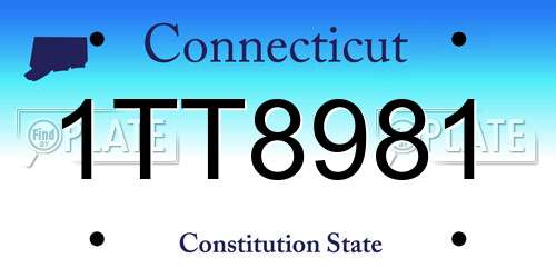 1TT8981 Connecticut License Plate