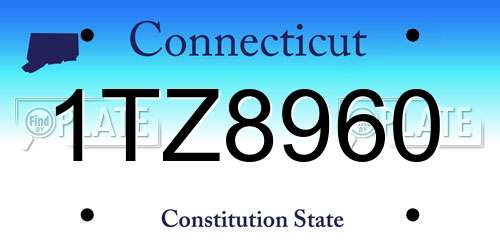 1TZ8960 Connecticut License Plate