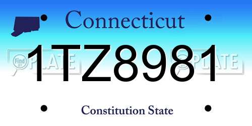 1TZ8981 Connecticut License Plate