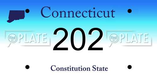 202 Connecticut License Plate