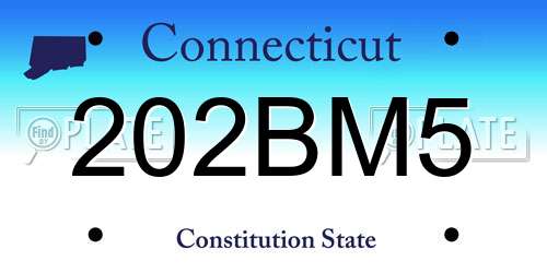 202BM5 Connecticut License Plate