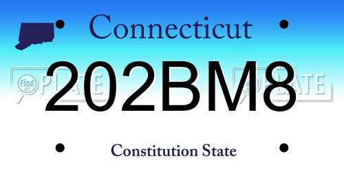 202BM8 Connecticut License Plate