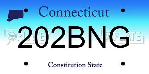 202BNG Connecticut License Plate
