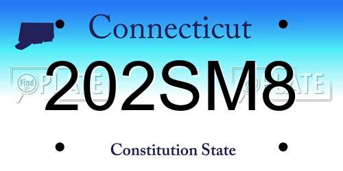 202SM8 Connecticut License Plate