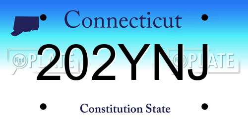 202YNJ Connecticut License Plate