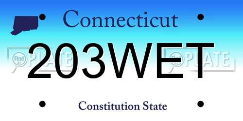 203WET Connecticut License Plate