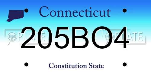 205BO4 Connecticut License Plate
