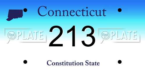 213 Connecticut License Plate