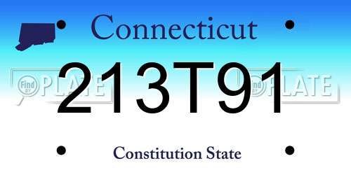 213T91 Connecticut License Plate