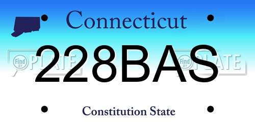 228BAS Connecticut License Plate