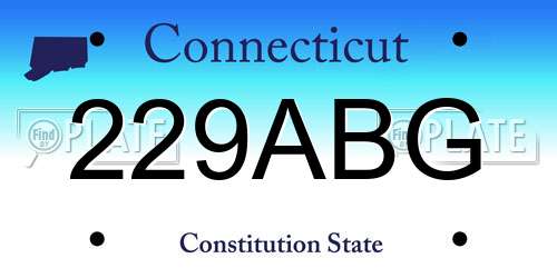 229ABG Connecticut License Plate