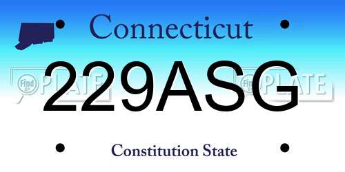 229ASG Connecticut License Plate