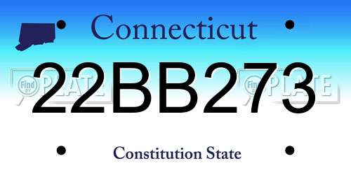 22BB273 Connecticut License Plate