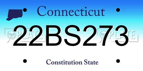 22BS273 Connecticut License Plate