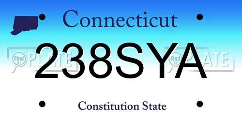 238SYA Connecticut License Plate