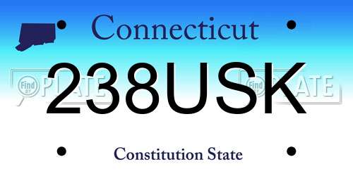 238USK Connecticut License Plate