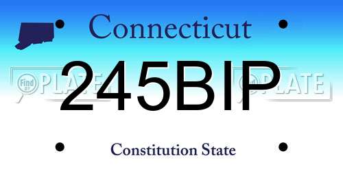 245BIP Connecticut License Plate