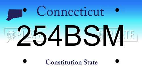 254BSM Connecticut License Plate