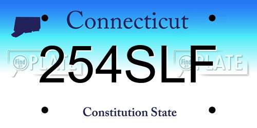 254SLF Connecticut License Plate