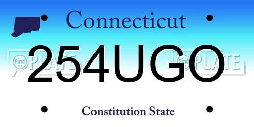 254UGO Connecticut License Plate