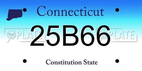 25B66 Connecticut License Plate