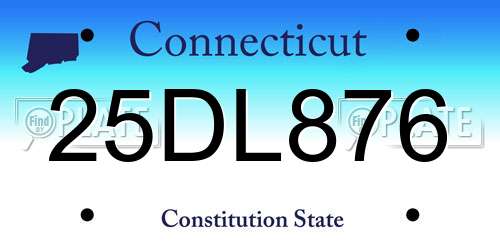 25DL876 Connecticut License Plate