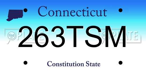 263TSM Connecticut License Plate