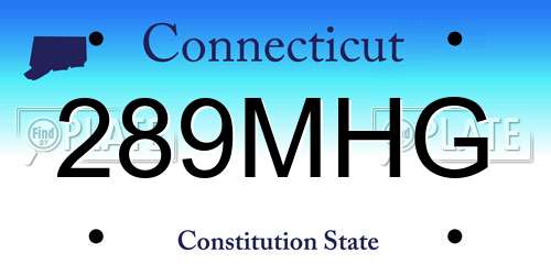 289MHG Connecticut License Plate