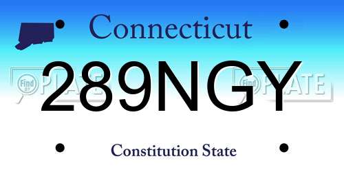289NGY Connecticut License Plate