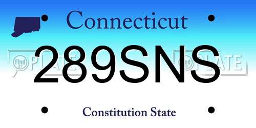 289SNS Connecticut License Plate