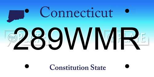 289WMR Connecticut License Plate