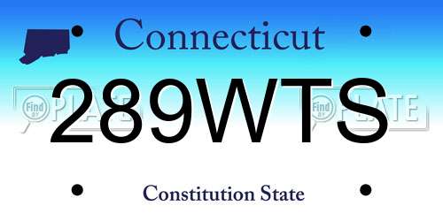 289WTS Connecticut License Plate