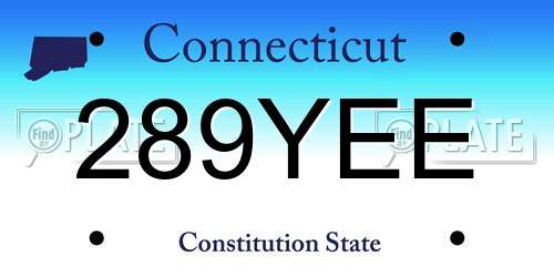 289YEE Connecticut License Plate
