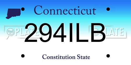 294ILB Connecticut License Plate