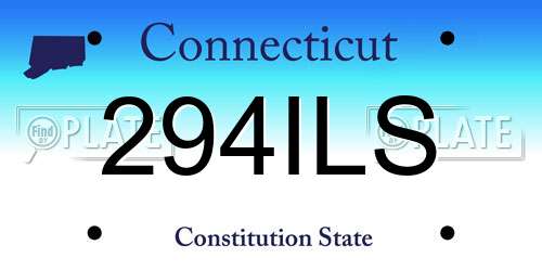 294ILS Connecticut License Plate