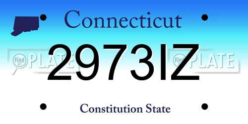 2973IZ Connecticut License Plate