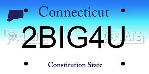 2BIG4U Connecticut License Plate