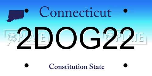 2DOG22 Connecticut License Plate