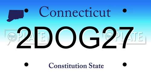 2DOG27 Connecticut License Plate