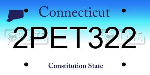 2PET322 Connecticut License Plate