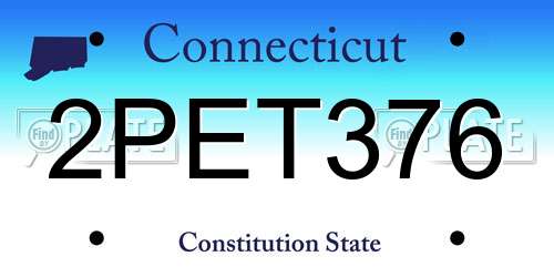 2PET376 Connecticut License Plate