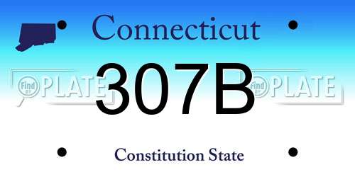 307B Connecticut License Plate