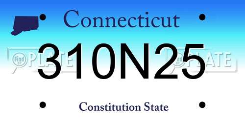 310N25 Connecticut License Plate