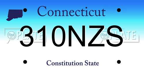 310NZS Connecticut License Plate