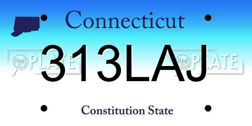 313LAJ Connecticut License Plate