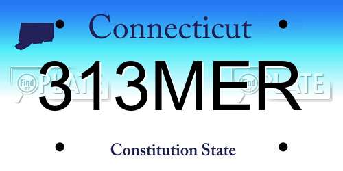 313MER Connecticut License Plate