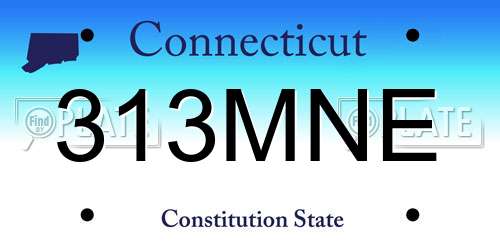 313MNE Connecticut License Plate