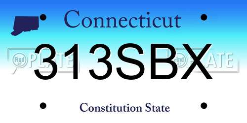 313SBX Connecticut License Plate
